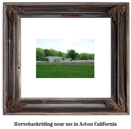 horseback riding near me in Acton, California